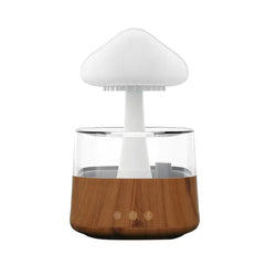 Rain Cloud Humidifier