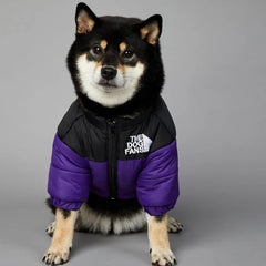 Luxury Winter Dog Jacket