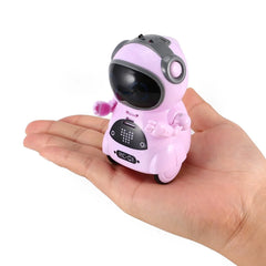 Mini Robot Talking Walking Voice Recognition