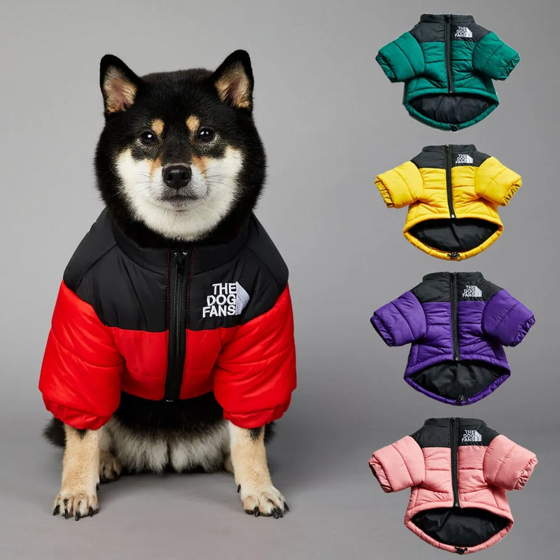 Luxury Winter Dog Jacket