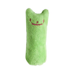 Catnip Toy for Cats